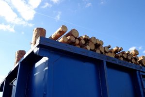 Prezydent podpisał ustawę ograniczającą nielegalny handel drewnem