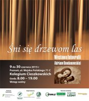 Śni się drzewom Las - wystawa fotografii Adriany Bogdanowskiej