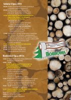 XVI Międzynarodowe Zawody Drwali w Bobrowej