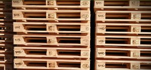 JCG wybuduje nowy zakład produkcji palet