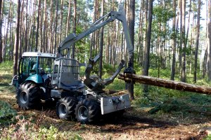 Praca w leśnictwie wciąż niebezpieczna - PIP prezentuje wnioski z kontroli