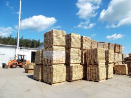 Standrew poprawia wyniki i inwestuje w suszarnie