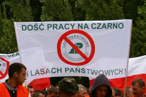 Kolejny protest firm leśnych - tym razem w Szczecinie