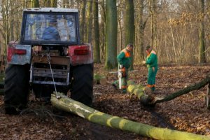 Lasy Państwowe próbują gasić protesty ZULi nowymi zasadami zamawiania usług