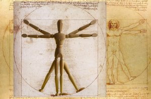 Witruwiusz o drewnie