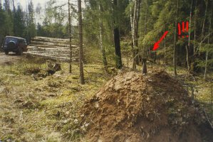 Lasy Państwowe kończą projekt rekultywacji poligonów