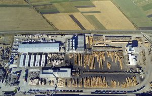 Schweighofer oskarżony o zakup drewna z nielegalnego pozyskania w Rumunii