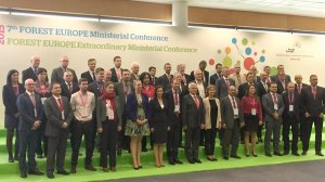 Lasów w Europie przybywa