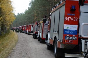 PUSZCZA 2015 - Strażacy ćwiczyli działania na terenach leśnych