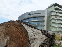 Kolejni dyrektorzy RDLP odwołani 