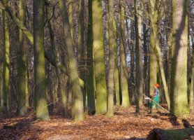 Polska Leśna Izba Gospodarcza zaprasza ZULe na spotkania informacyjne