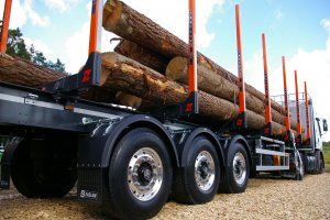 O przyszłości rynku drewna na spotkaniu przedstawicieli przemysłu drzewnego z nowym dyrektorem generalnym LP