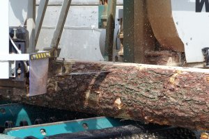 Na Białorusi powstało stowarzyszenie przemysłu meblowego i drzewnego