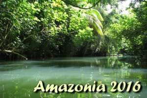 Lasy Świata: Amazonia 2016