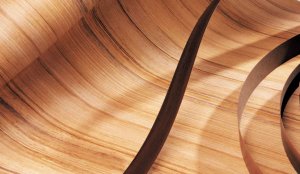 BASF sprzedaje dział powłok przemysłowych