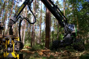 Spotkanie informacyjne Izby Leśnej dla przedsiębiorców z terenu RDLP w Gdańsku