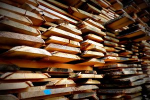 Rośnie konkurencja w kształceniu kadr dla przemysłu drzewnego