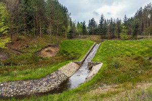 Unia da 300 mln zł na projekty Lasów Państwowych