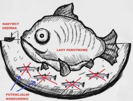 Lasy państwowe w krajach postkomunistycznych zrodziły się z krzywdy i cierpienia zwykłych ludzi