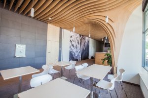 Paged przejmuje Forbis Group