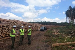 RDLP Łódź: W lasach trwa sprzątanie po silnych wiatrach