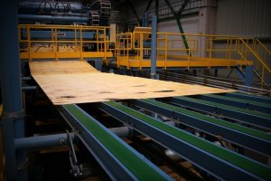 Steico rozbuduje fabrykę LVL w Czarnej Wodzie