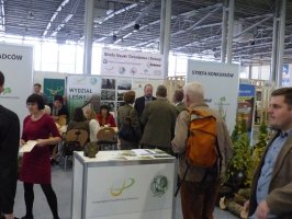 DREMA 2016: Drewno.pl i Strefa Wiedzy