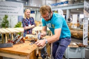 DREMA z perspektywy strugnicy