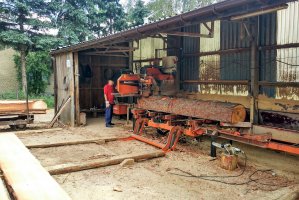 PIP koncentruje uwagę na przetwórstwie drewna. Będą masowe kontrole w tartakach i stolarniach