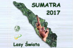 Lasy Świata 2017 - kierunek Sumatra