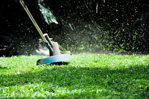 Wykaszarki alternatywą dla kosiarek? 