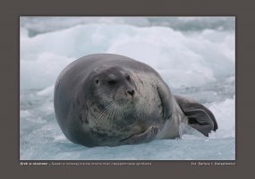 PODRÓŻE NIEUDACZNIKA - Wystawa fotografii
