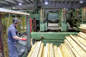 Rynek pracy należy do pracowników, firmy muszą pogodzić się z wzrostem płac