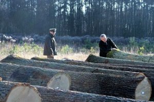 II Regionalna Submisja Drewna Cennego RDLP w Radomiu