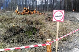 Zawieszenie w próżni - czyli codzienność ukraińskiej gospodarki leśnej