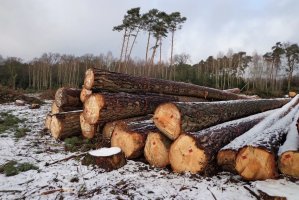 KPPD ma umowy surowcowe na 2017r.