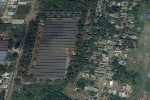 Forte planuje ekspansję w Indiach