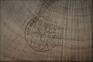 W Krotoszynie odbyła się 26. Aukcja Cennego Drewna Dębowego