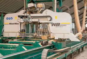 Intuicja i konsekwencja kluczem do sukcesu tartaku w Studzionce