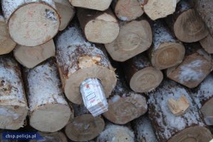 Udaremniono przemyt papierosów ukrytych w kłodach drewna