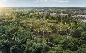 Projekt nowej siedziby dyrekcji Lasów Republiki Czeskiej