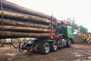 Nadleśnictwa skumulują sprzedaż "resztówek"