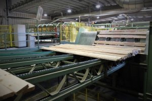 WoodINN: 120 mln na wsparcie innowacji w leśnictwie, drzewnictwie i meblarstwie