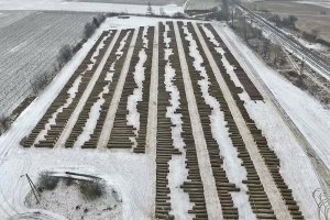 X Submisja Drewna Szczególnego w RDLP we Wrocławiu