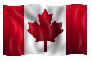 Kanadyjski przemysł drzewny z bliska - PIGPD zaprasza na wyjazd branżowy