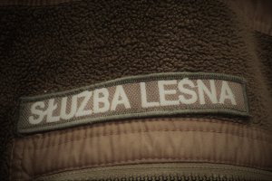 Płace w Lasach Państwowych będą wyższe