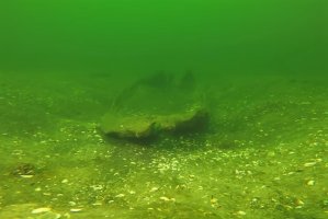 Drewniane znalezisko na dnie Jeziora Niedzięgiel