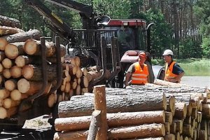 Certyfikat dla lasów Podkarpacia