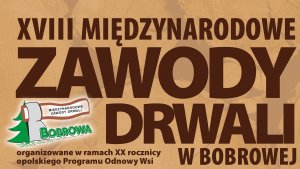 XVIII Międzynarodowe Zawody Drwali w Bobrowej