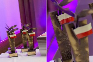 Odzysk drewna szansą dla lasów - Silva nagrodzona Orłem Wprost